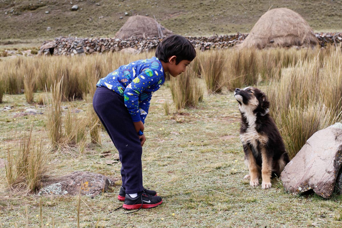 Friendship, Boy and Dog, Huascaran National Park