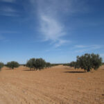 SC_25-06-09