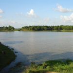 SC_25-09-01