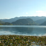 Splinters & Candy 11/03/25 WVKR SC_25-11-03