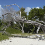 Splinters & Candy 02/02/26 WVKR SC_26-02-02