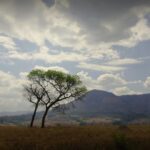 Splinters & Candy 02/16/26 WVKR SC_26-02-16